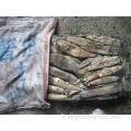 [IMMAStrepes Bartrami] Squid1000-2000g del North Pacific